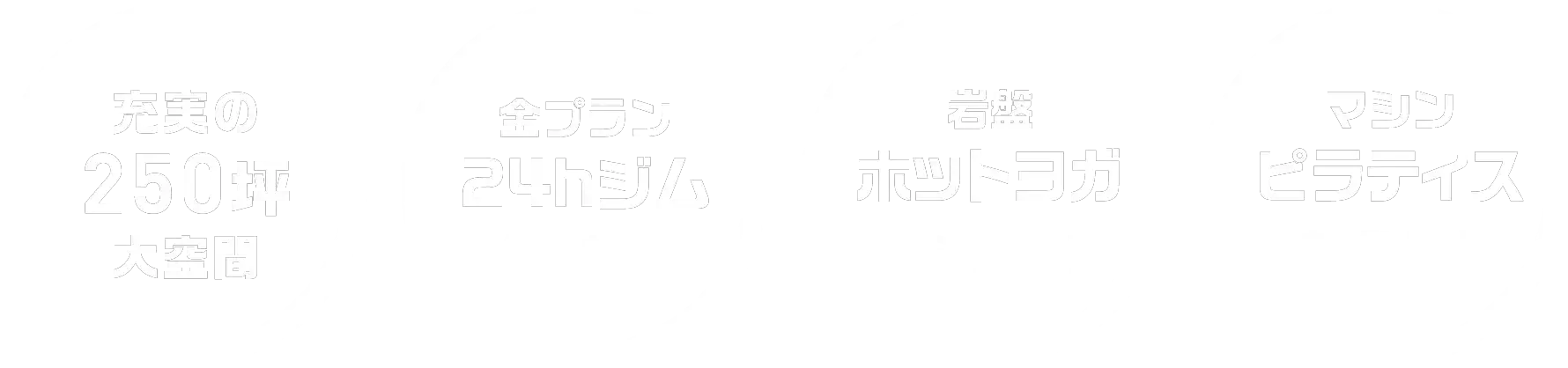 fitnexus24について