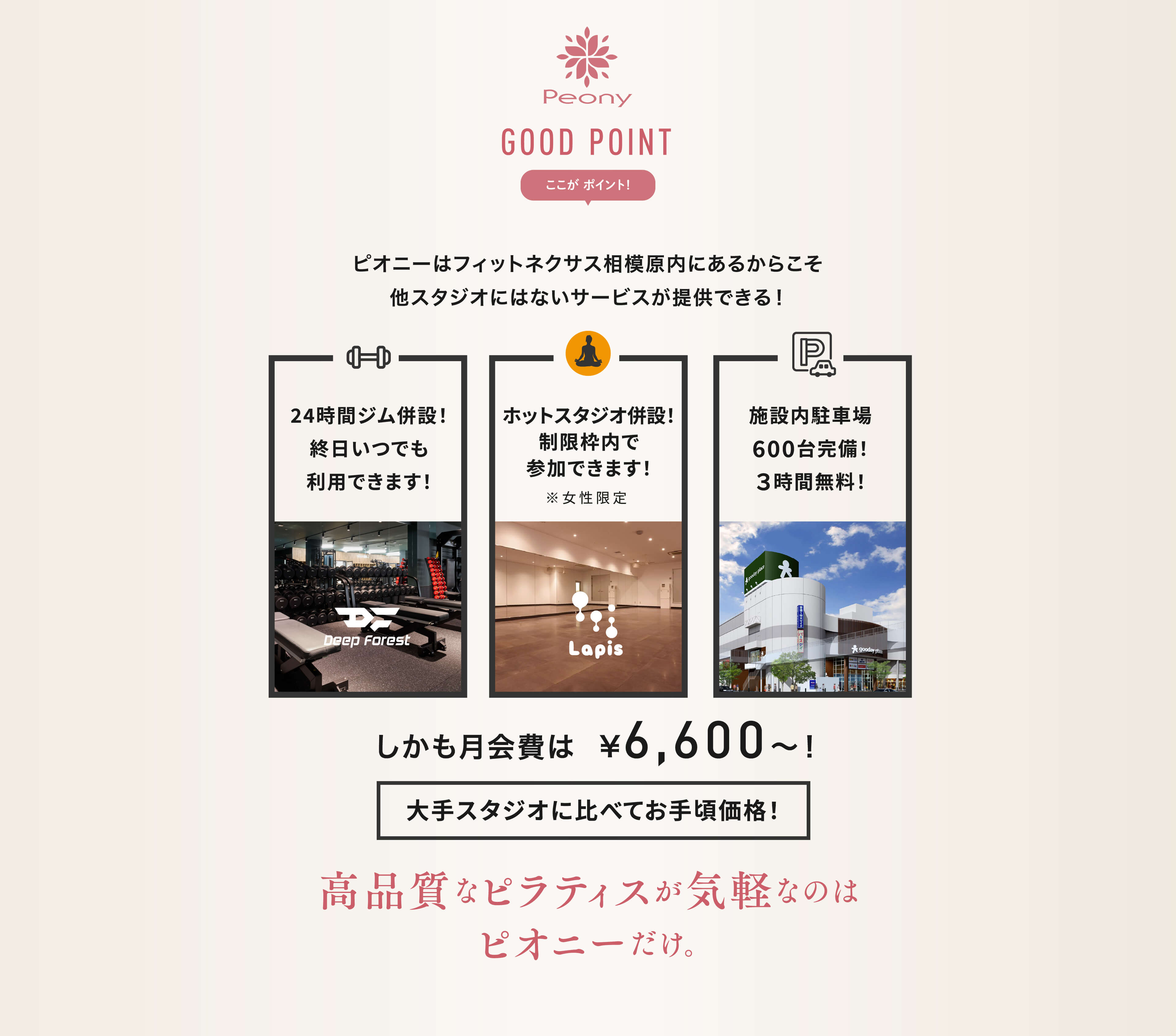 peonyはラテン語で”芍薬”を意味します。 “たてば芍薬  座れば牡丹  歩く姿は百合の花”